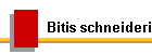 Bitis schneideri