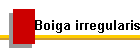 Boiga irregularis