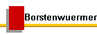 Borstenwuermer