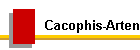 Cacophis-Arten