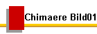 Chimaere Bild01