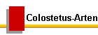 Colostetus-Arten