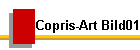 Copris-Art Bild01