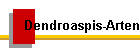 Dendroaspis-Arten