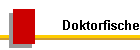 Doktorfische