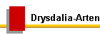 Drysdalia-Arten