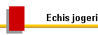 Echis jogeri