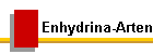 Enhydrina-Arten