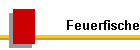 Feuerfische