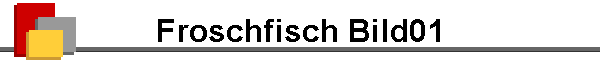 Froschfisch Bild01