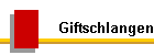 Giftschlangen