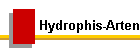 Hydrophis-Arten