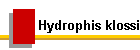 Hydrophis klossi