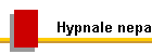 Hypnale nepa