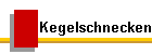 Kegelschnecken