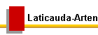 Laticauda-Arten