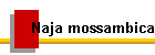 Naja mossambica