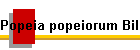 Popeia popeiorum Bild01