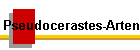 Pseudocerastes-Arten