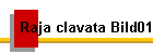 Raja clavata Bild01