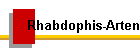 Rhabdophis-Arten