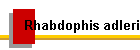 Rhabdophis adleri