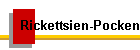 Rickettsien-Pocken