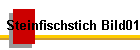 Steinfischstich Bild01