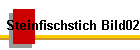 Steinfischstich Bild02