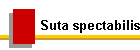 Suta spectabilis