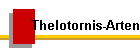 Thelotornis-Arten