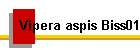 Vipera aspis Biss01