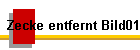 Zecke entfernt Bild01