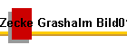 Zecke Grashalm Bild01