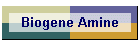 Biogene Amine