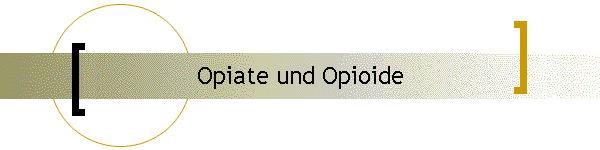 Opiate und Opioide