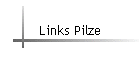 Links Pilze