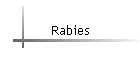 Rabies